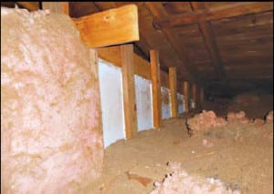 Insulation Picture